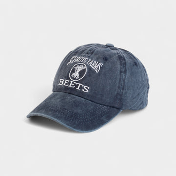 SCHRUTE FARMS BEETS WASHED COTTON CAP