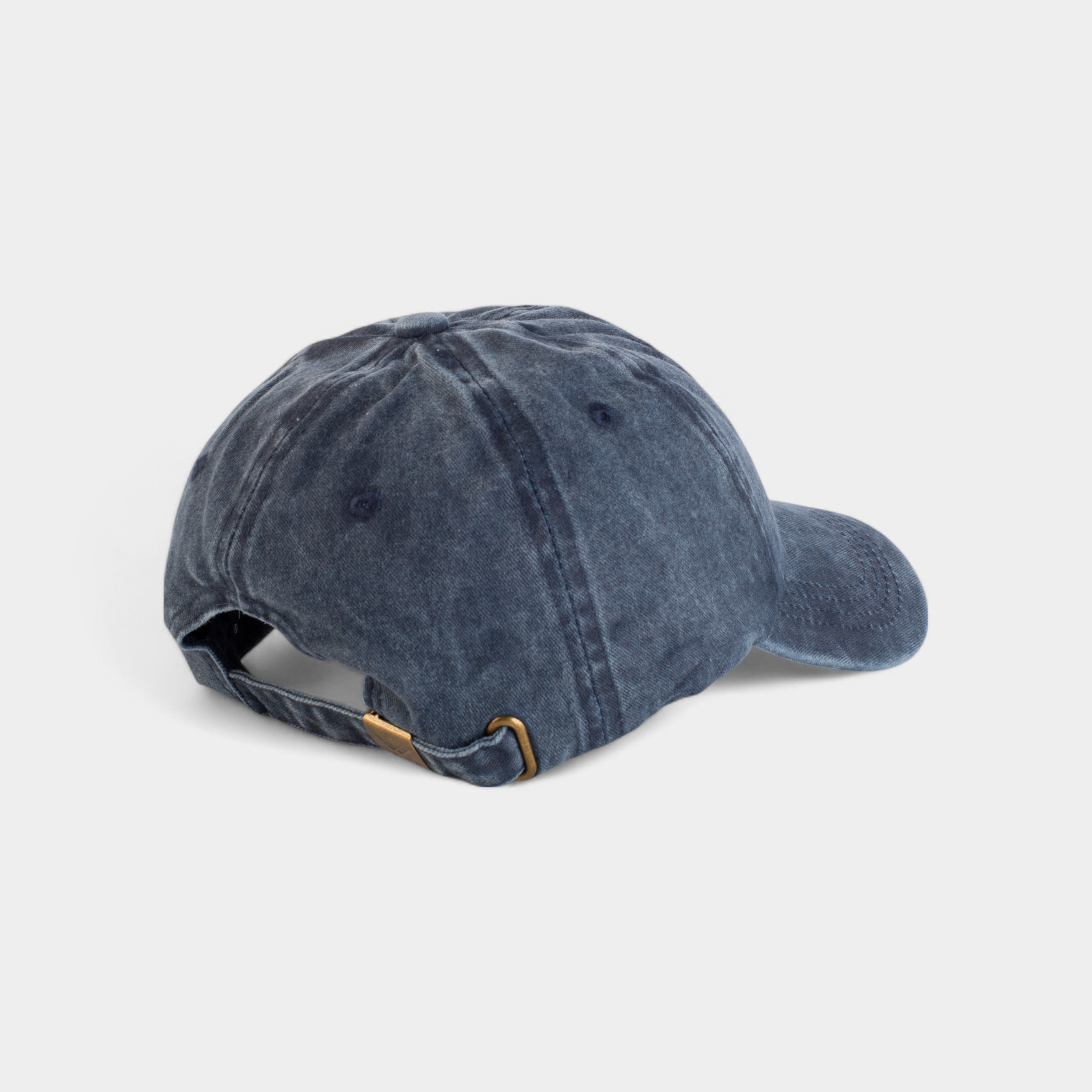 SCHRUTE FARMS BEETS WASHED COTTON CAP
