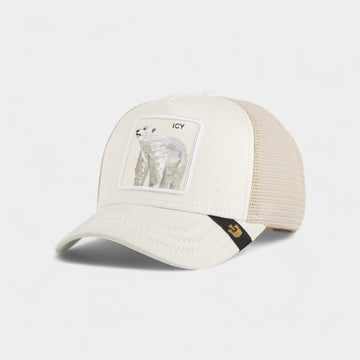 ICY TRUCKER HAT