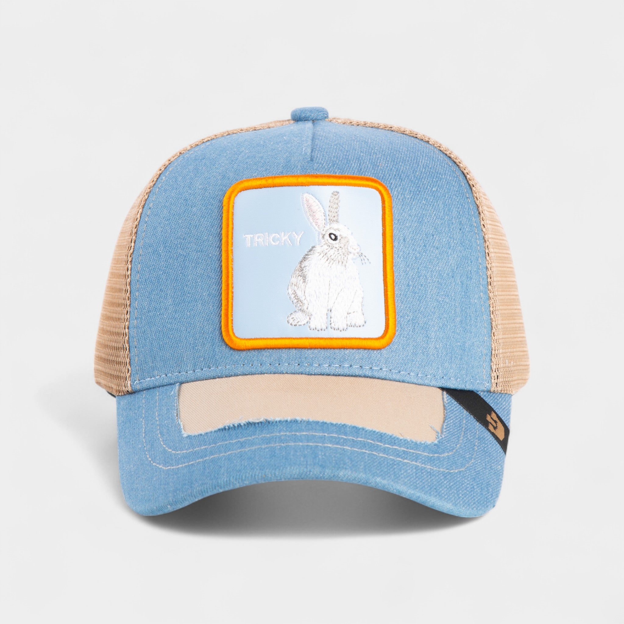 TRICKY TRUCKER HAT